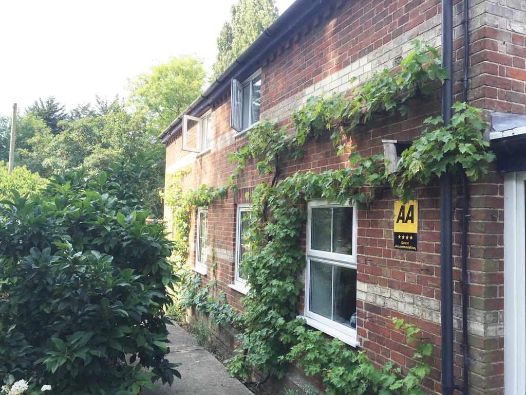 South Norfolk Guest House Great Moulton Εξωτερικό φωτογραφία