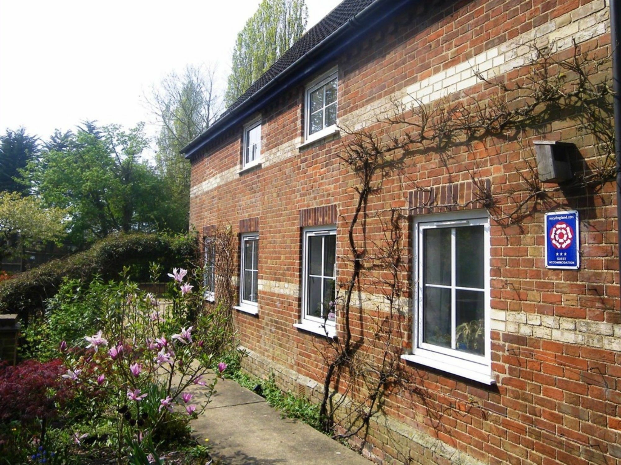South Norfolk Guest House Great Moulton Εξωτερικό φωτογραφία