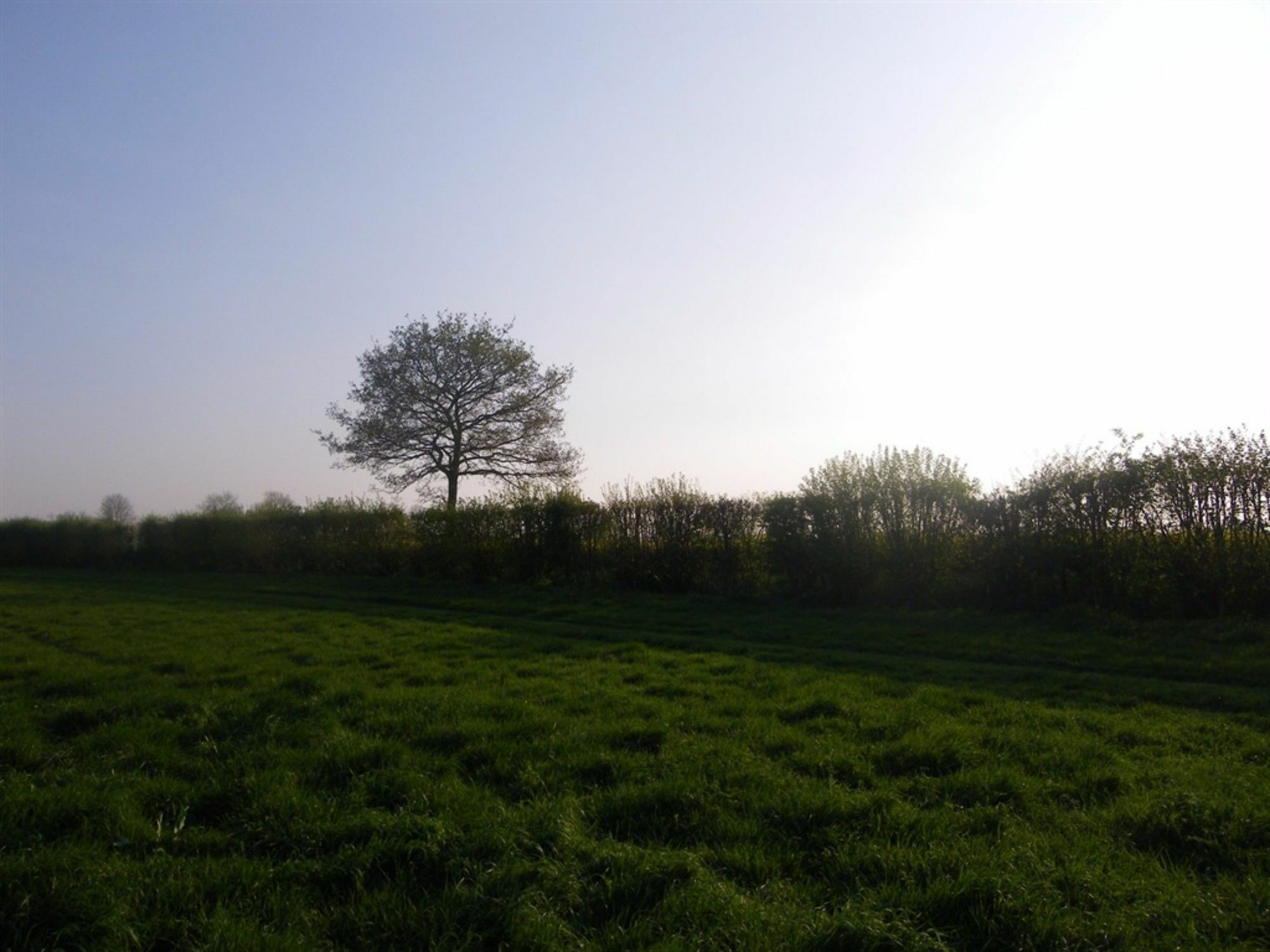 South Norfolk Guest House Great Moulton Εξωτερικό φωτογραφία